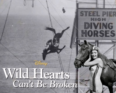 In the late nineteenth and early twentieth centuries, crowds packed amusement piers and traveling exhibitions to witness one of the strangest forms of entertainment in American history: horses diving from towering platforms into deep pools of water. Audiences gasped as beautiful horses galloped up steep ramps before plunging forty to sixty feet into tanks below, often with a female rider balanced on their backs. The spectacle seemed equal parts daring athletic feat, carnival illusion, and circus performance. To many Americans, diving horses represented courage, innovation, and wholesome family entertainment. To others, even at the time, they symbolized the darker side of spectacle culture—an industry willing to push animals and performers into dangerous situations for profit.