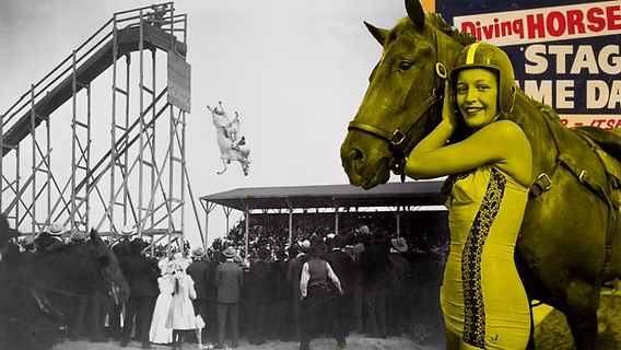 The economic pressures surrounding attractions like diving horses are crucial to understanding their ethical implications. Spectacle businesses survive by continually attracting audiences. Once danger becomes normalized, performances must escalate or maintain intensity to remain profitable. This dynamic often encourages risk-taking and ethical compromise.